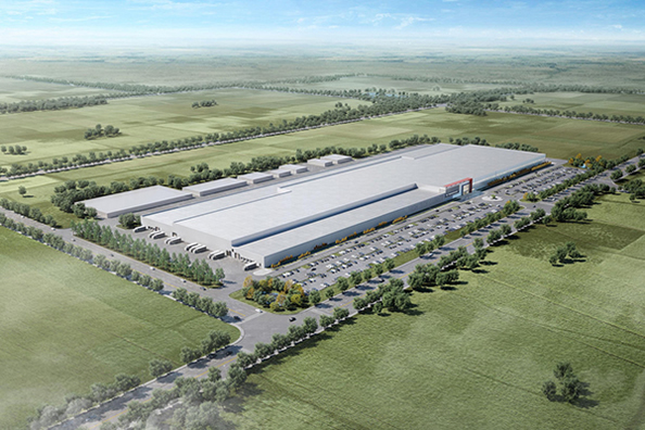 Baies de Goji séchées de Shaoxing Group Co., Ltd