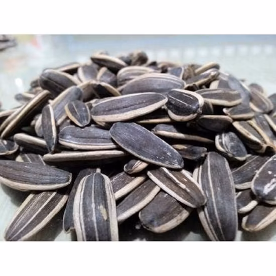 Graines de tournesol de matières premières avec certificat ISO, Halal et casher