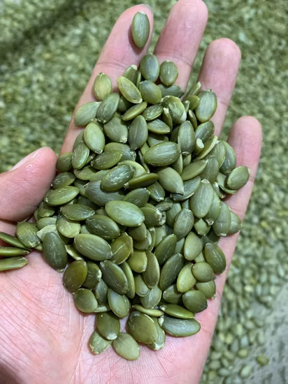 Nouvelle récolte de graines de citrouille chinoises, peau brillante, noyau de qualité AA