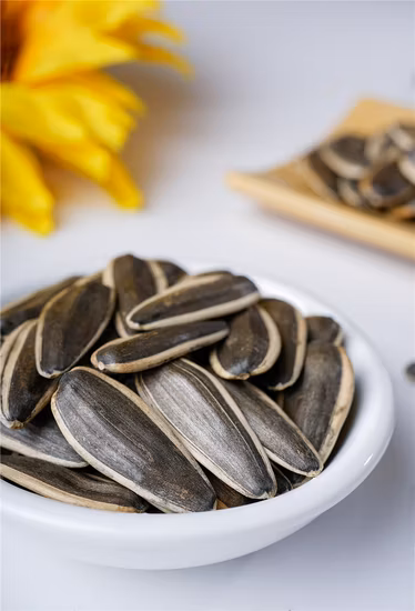 Vente chaude Black Ne Crop 3638 graines de tournesol